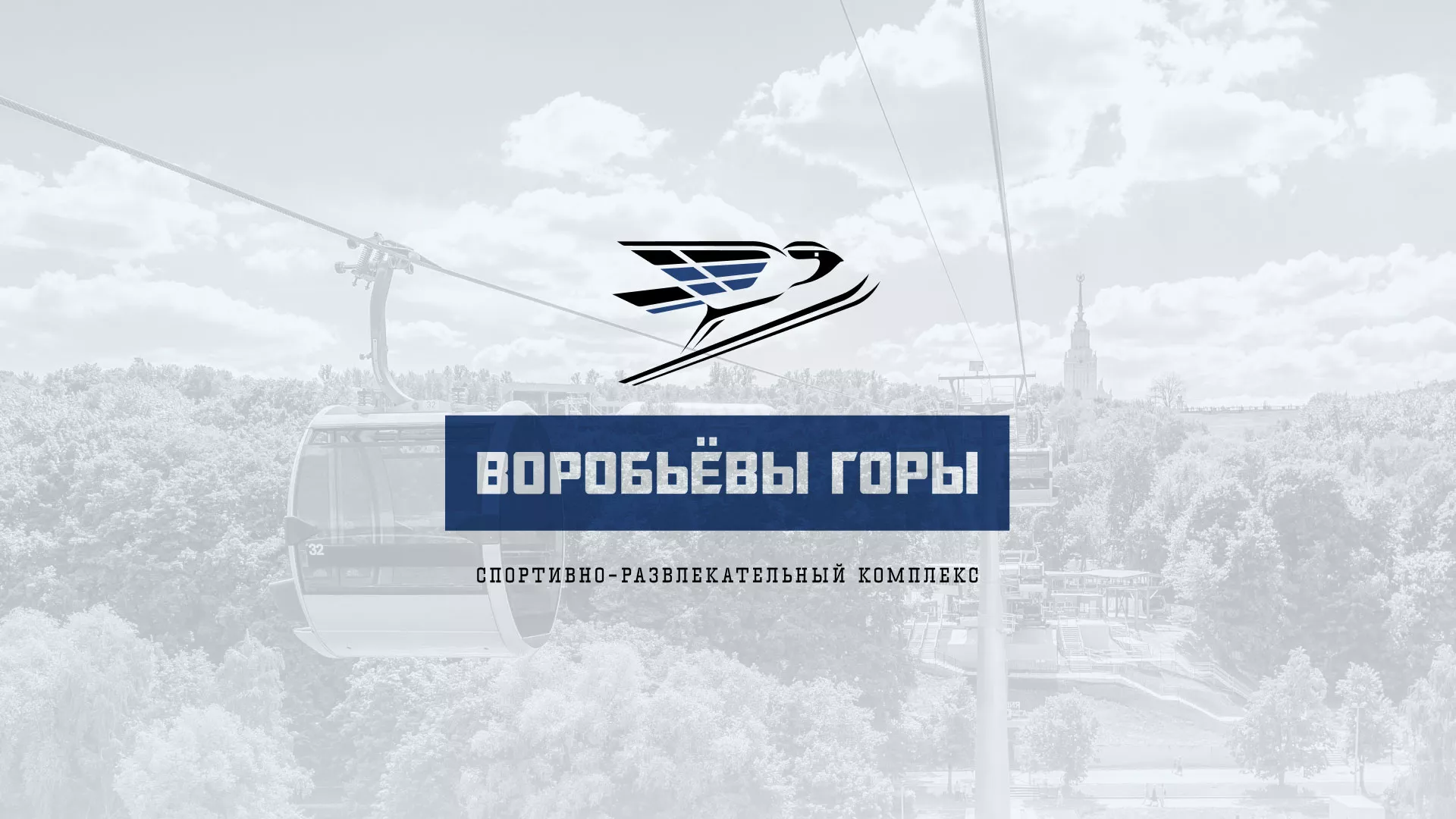 Разработка сайта в Аргуне для спортивно-развлекательного комплекса «Воробьёвы горы»