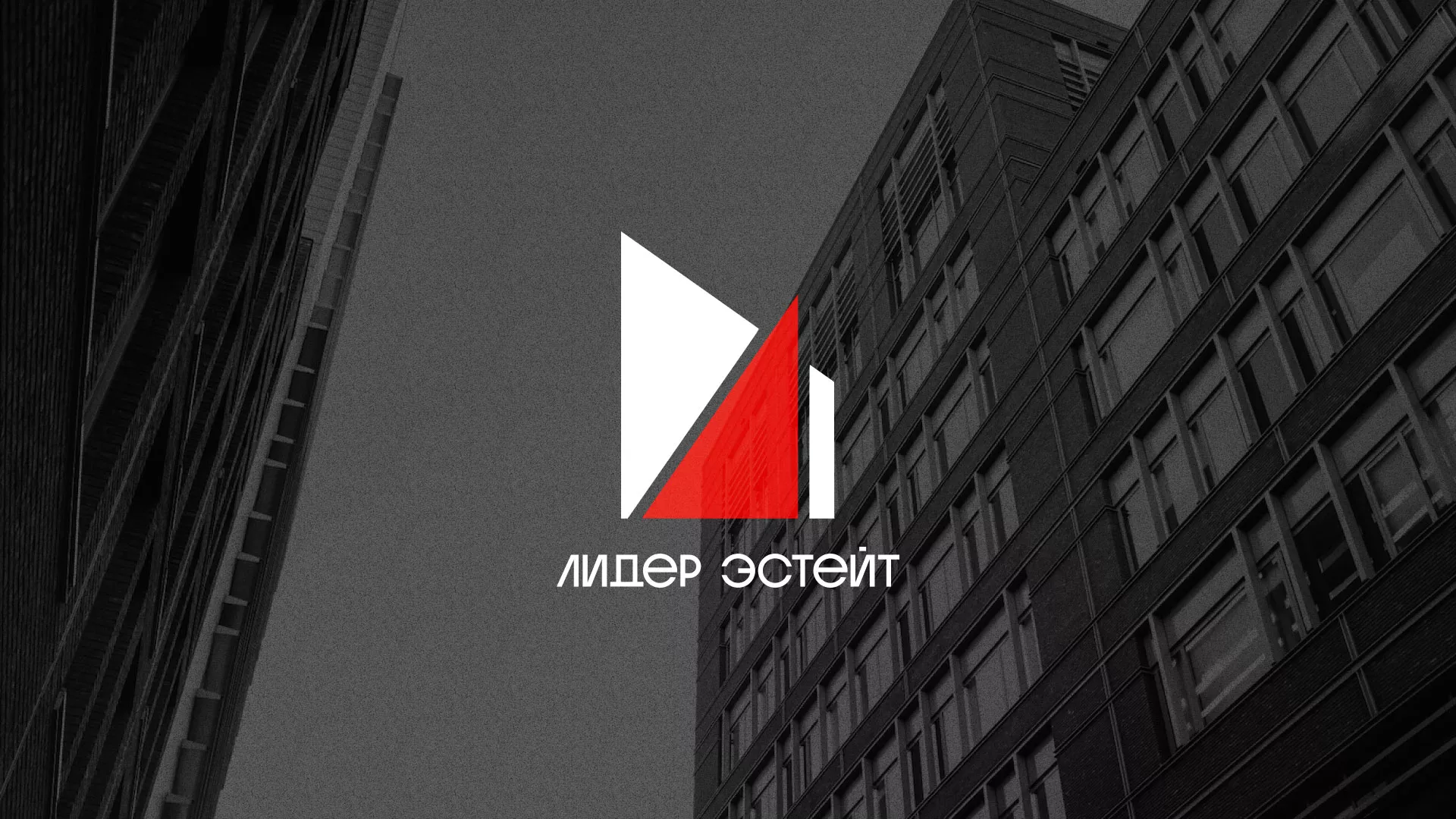Сделали логотип для агентства недвижимости «Лидер Эстейт» в Аргуне